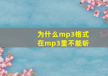 为什么mp3格式在mp3里不能听