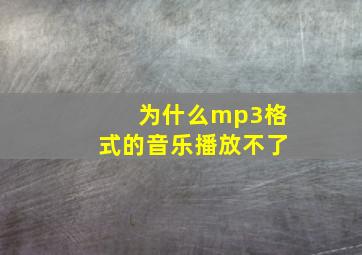 为什么mp3格式的音乐播放不了