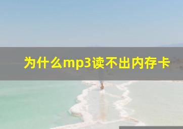 为什么mp3读不出内存卡