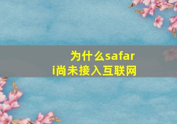 为什么safari尚未接入互联网