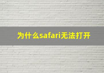 为什么safari无法打开