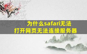 为什么safari无法打开网页无法连接服务器