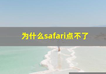 为什么safari点不了