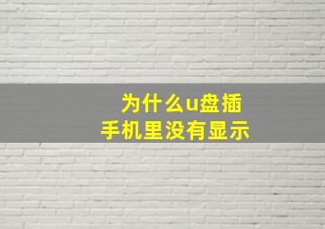 为什么u盘插手机里没有显示