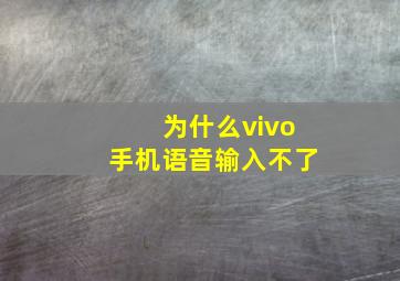 为什么vivo手机语音输入不了