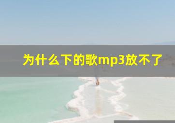 为什么下的歌mp3放不了