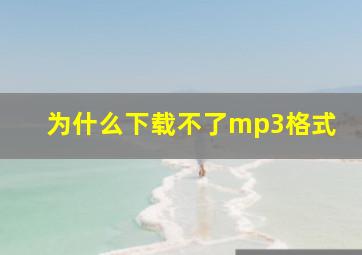 为什么下载不了mp3格式