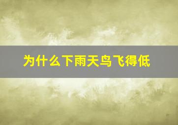 为什么下雨天鸟飞得低