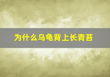 为什么乌龟背上长青苔