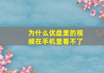 为什么优盘里的视频在手机里看不了