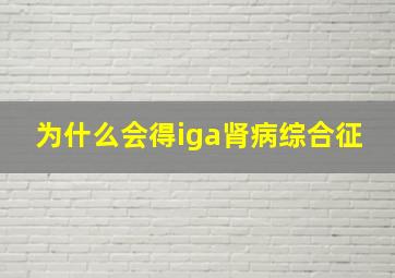 为什么会得iga肾病综合征