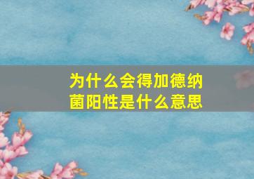 为什么会得加德纳菌阳性是什么意思