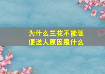 为什么兰花不能随便送人原因是什么