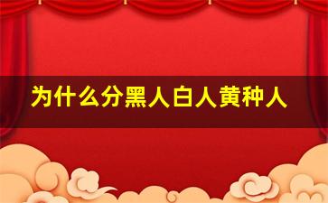 为什么分黑人白人黄种人