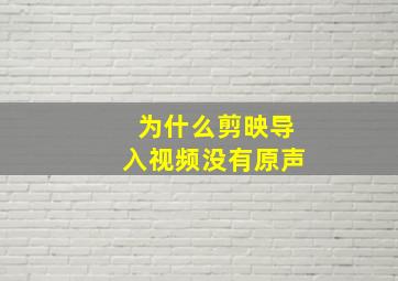 为什么剪映导入视频没有原声