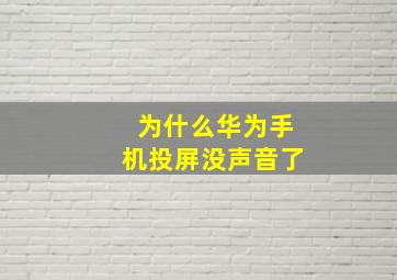 为什么华为手机投屏没声音了