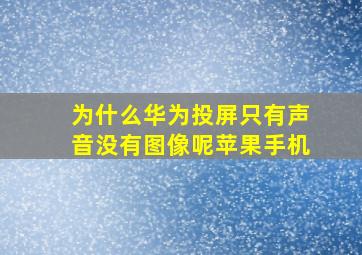 为什么华为投屏只有声音没有图像呢苹果手机