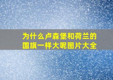 为什么卢森堡和荷兰的国旗一样大呢图片大全