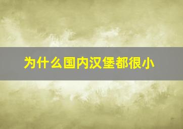 为什么国内汉堡都很小