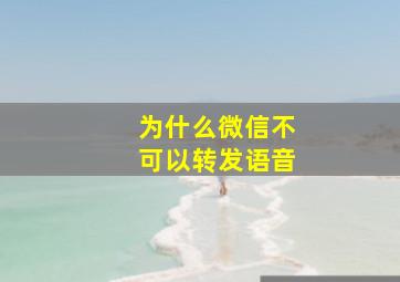 为什么微信不可以转发语音