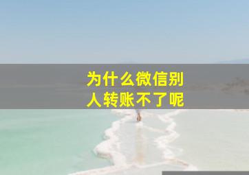 为什么微信别人转账不了呢