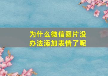 为什么微信图片没办法添加表情了呢