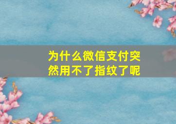 为什么微信支付突然用不了指纹了呢