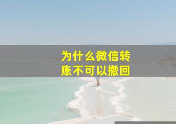 为什么微信转账不可以撤回