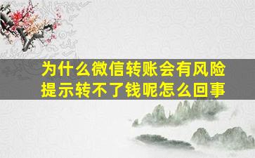 为什么微信转账会有风险提示转不了钱呢怎么回事