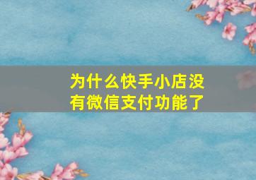 为什么快手小店没有微信支付功能了