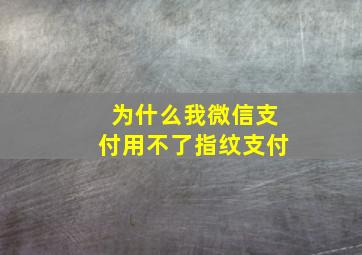 为什么我微信支付用不了指纹支付