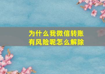 为什么我微信转账有风险呢怎么解除