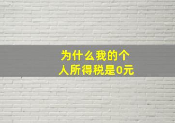 为什么我的个人所得税是0元