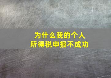 为什么我的个人所得税申报不成功