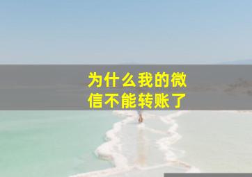 为什么我的微信不能转账了