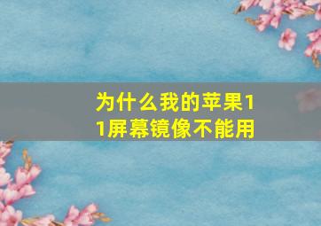 为什么我的苹果11屏幕镜像不能用