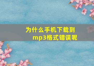 为什么手机下载到mp3格式错误呢