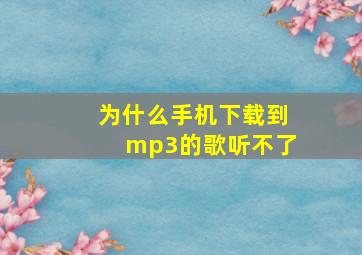 为什么手机下载到mp3的歌听不了