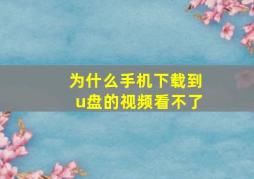 为什么手机下载到u盘的视频看不了