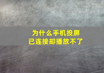 为什么手机投屏已连接却播放不了