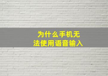 为什么手机无法使用语音输入