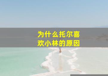 为什么托尔喜欢小林的原因