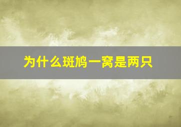 为什么斑鸠一窝是两只