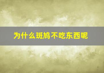 为什么斑鸠不吃东西呢