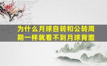 为什么月球自转和公转周期一样就看不到月球背面