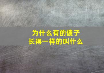 为什么有的傻子长得一样的叫什么