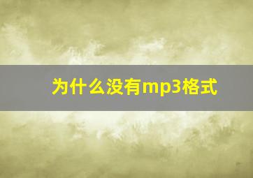 为什么没有mp3格式