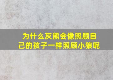 为什么灰熊会像照顾自己的孩子一样照顾小狼呢