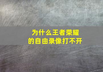 为什么王者荣耀的自由录像打不开