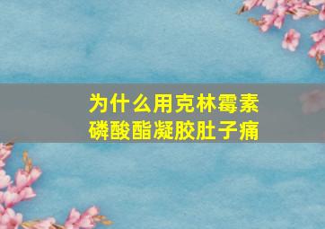 为什么用克林霉素磷酸酯凝胶肚子痛